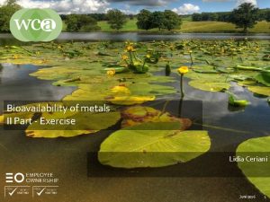 Bioavailability of metals II Part Exercise Lidia Ceriani