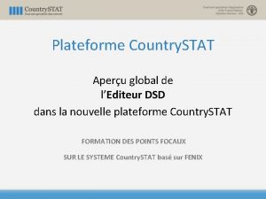 Plateforme Country STAT Aperu global de lEditeur DSD