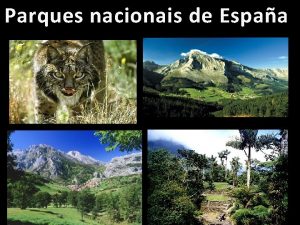 Parques nacionais de Espaa PARQUES PRINCIPALES Sierra Nevada