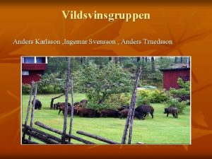 Vildsvinsgruppen Anders Karlsson Ingemar Svensson Anders Truedsson Vildsvinsgruppens
