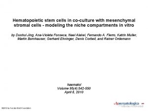 Hematopoietic stem cells in coculture with mesenchymal stromal