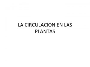 LA CIRCULACION EN LAS PLANTAS En las plantas