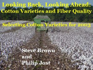 Looking Back Looking Ahead Cotton Varieties and Fiber