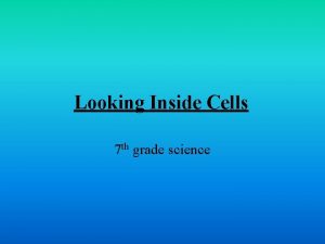 Looking Inside Cells 7 th grade science Cells