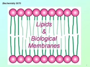 Biochemistry 3070 Lipids Biological Membranes 1 Lipids Their