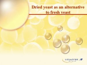 Dried yeast as an alternative to fresh yeast