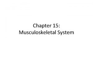 Chapter 15 Musculoskeletal System Structure and Function of