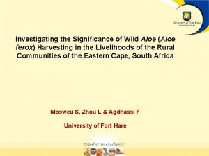 Investigating the Significance of Wild Aloe Aloe ferox