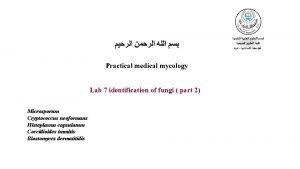 Practical medical mycology Lab 7 identification of fungi