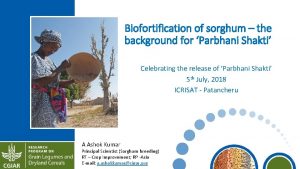 Biofortification of sorghum the background for Parbhani Shakti