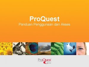 Pro Quest Panduan Penggunaan dan Akses Cara Masuk
