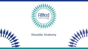 Shoulder Anatomy How the shoulder works 01 The
