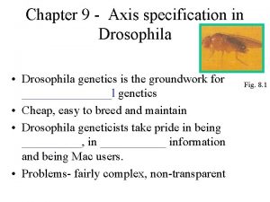 Chapter 9 Axis specification in Drosophila Drosophila genetics