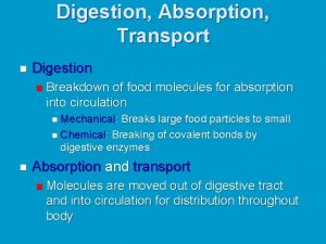 Digestion Absorption Transport n Digestion n Breakdown of