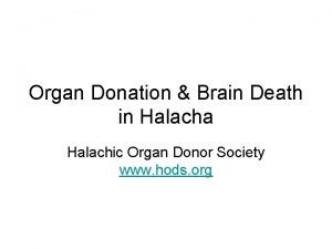 Organ Donation Brain Death in Halacha Halachic Organ