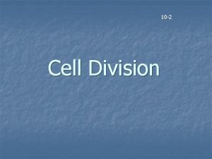 10 2 Cell Division Why do Cells divide