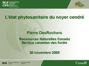 Ltat phytosanitaire du noyer cendr Pierre Des Rochers
