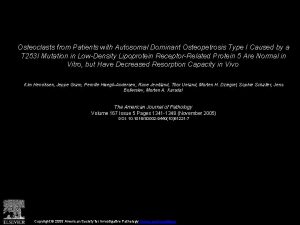 Osteoclasts from Patients with Autosomal Dominant Osteopetrosis Type