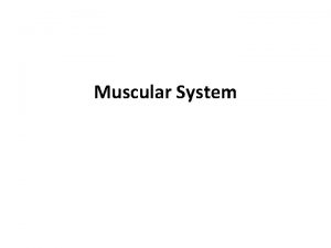 Muscular System Types of Muscles Skeletal Muscle Tissue