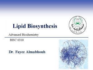 Lipid Biosynthesis Advanced Biochemistry BISC 6310 Dr Fayez