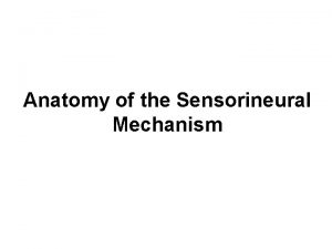 Anatomy of the Sensorineural Mechanism The Bony Labyrinth