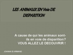 LES ANIMAUX EN Voie DE DISPARITION A cause