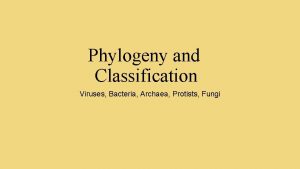 Phylogeny and Classification Viruses Bacteria Archaea Protists Fungi