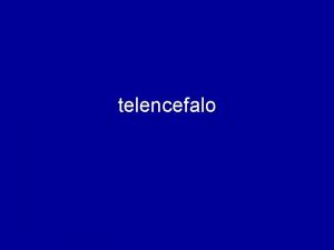 telencefalo telencefalo telencefalo Faccia laterale emisferi cerebrali Due