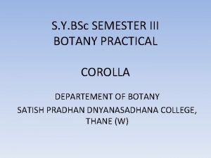 S Y BSc SEMESTER III BOTANY PRACTICAL COROLLA