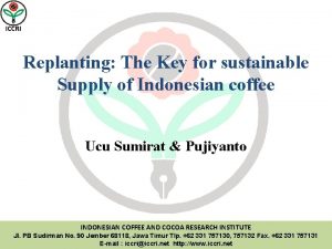 ICCRI Replanting The Key for sustainable Supply of