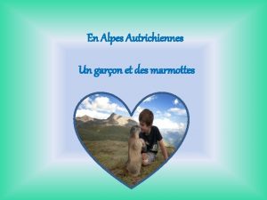 En Alpes Autrichiennes Un garon et des marmottes