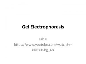 Gel Electrophoresis Lab 8 https www youtube comwatch