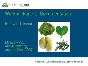 Workpackage 1 Documentation Rob van Treuren EU Leafy