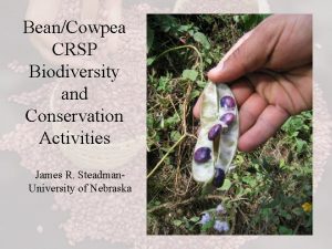 BeanCowpea CRSP Biodiversity and Conservation Activities James R