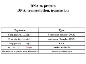 DNA to protein DNA transcription translation Sequence Type