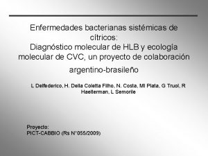 Enfermedades bacterianas sistmicas de ctricos Diagnstico molecular de