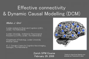 Effective connectivity Dynamic Causal Modelling DCM Meike J