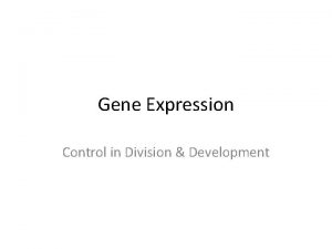 Gene Expression Control in Division Development Prokaryotes Replication