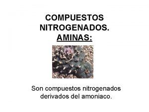 COMPUESTOS NITROGENADOS AMINAS Son compuestos nitrogenados derivados del