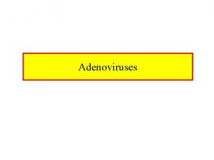 Adenoviruses Characteristics of Adenoviruses Name originates from Greek