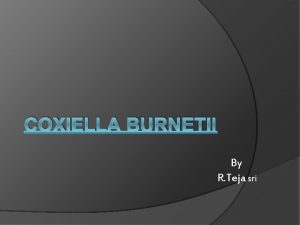 COXIELLA BURNETII By R Teja sri Introduction Coxiella