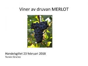 Viner av druvan MERLOT Handelsgillet 23 februari 2018