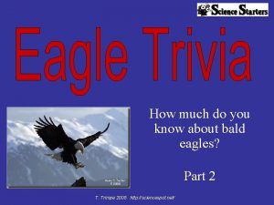 How much do you know about bald eagles