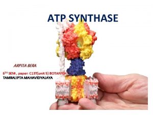 ATP SYNTHASE ARPITA BERA 6 TH SEM paper