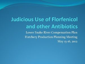 Judicious Use of Florfenicol and other Antibiotics Lower
