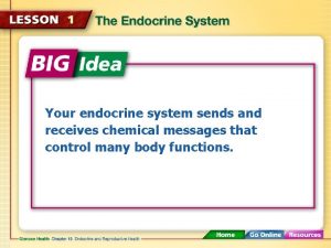 Your endocrine system sends and receives chemical messages