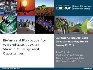 Biofuels and Bioproducts from Wet and Gaseous Waste