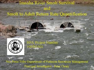 Imnaha River Smolt Survival and Smolt to Adult