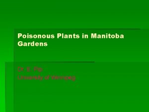 Poisonous Plants in Manitoba Gardens Dr E Pip