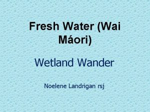 Fresh Water Wai Mori Wetland Wander Noelene Landrigan